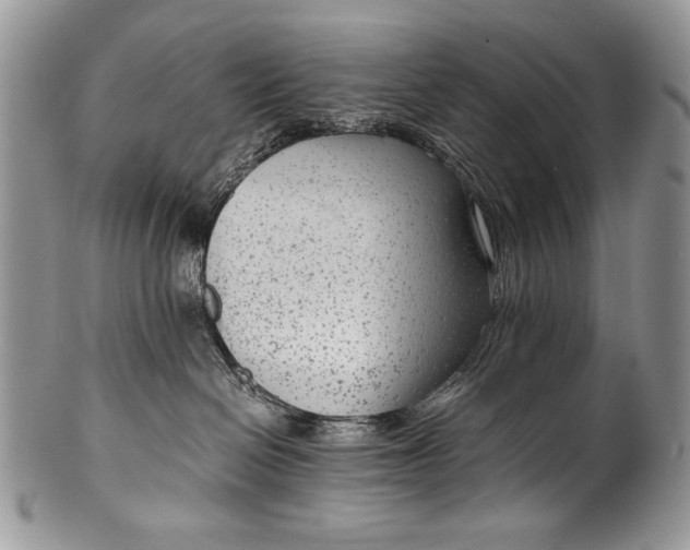 X0000100350286200806201548