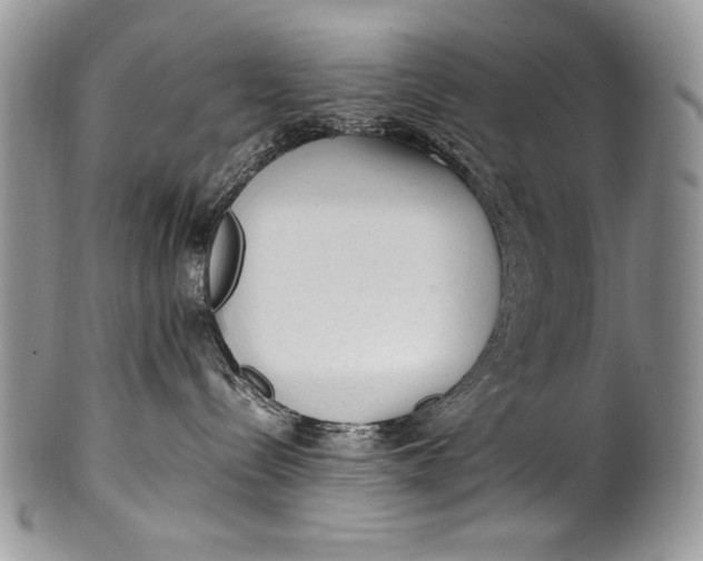 X0000100350288200806201548