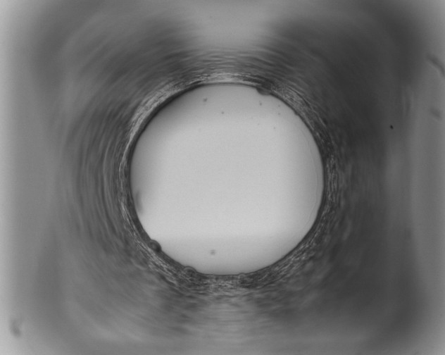 X0000100350289200806201548