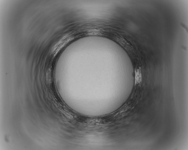 X0000100350291200806201548