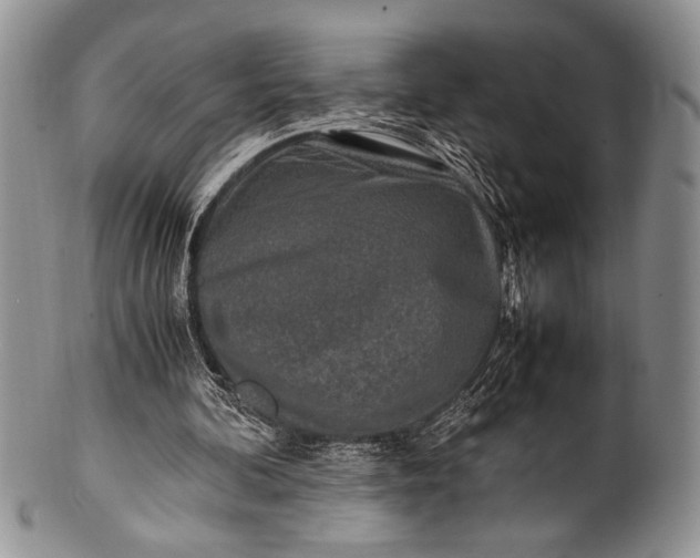 X0000100350292200806201548