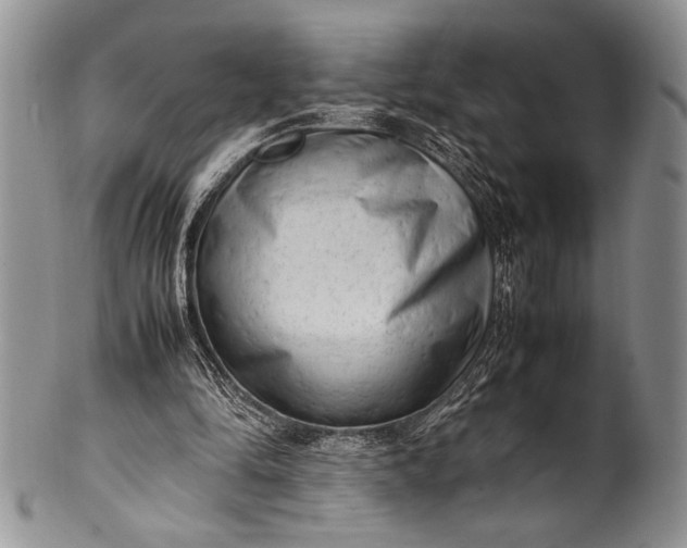 X0000100350294200806201548