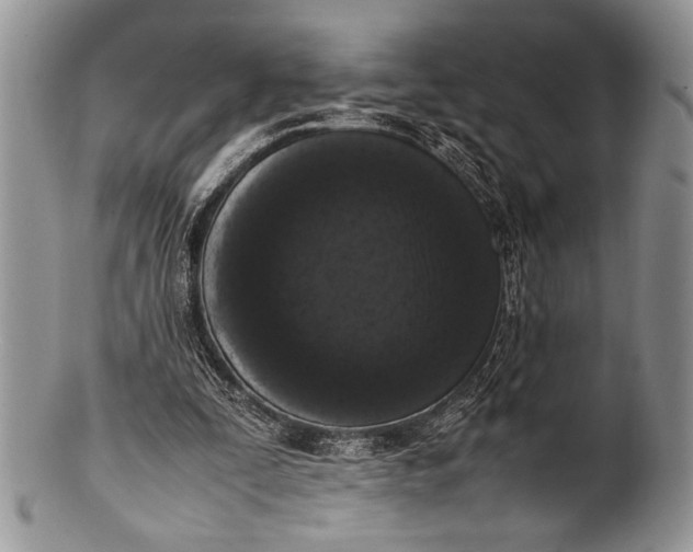 X0000100350295200806201548