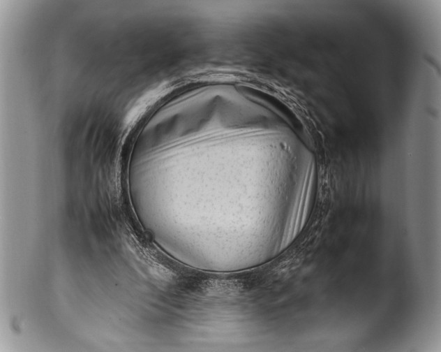 X0000100350296200806201548