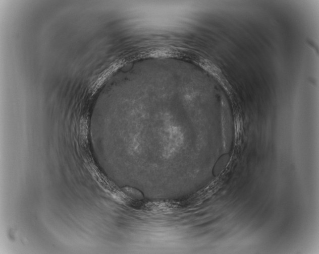 X0000100350297200806201548