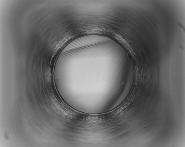 X0000100350298200806201548