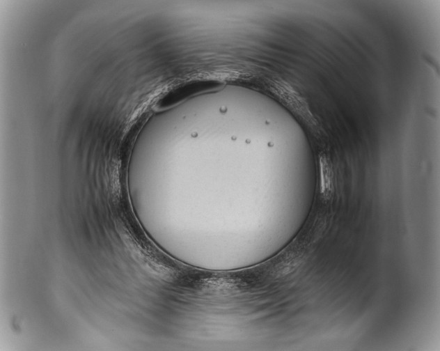 X0000100350300200806201547