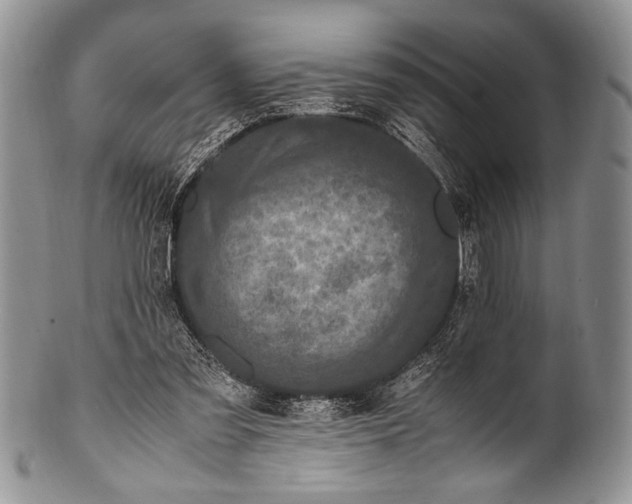 X0000100350301200806201547