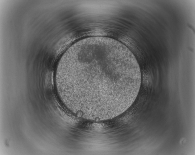 X0000100350302200806201547