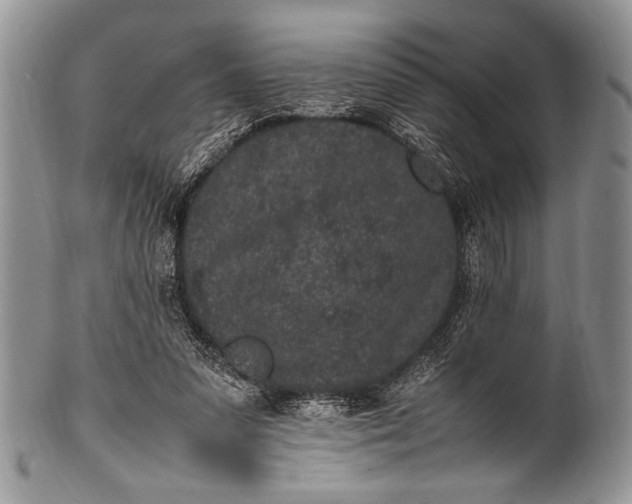 X0000100350303200806201547