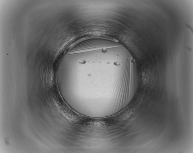 X0000100350304200806201547
