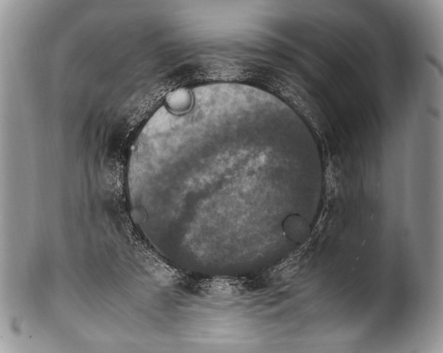 X0000100350305200806201547