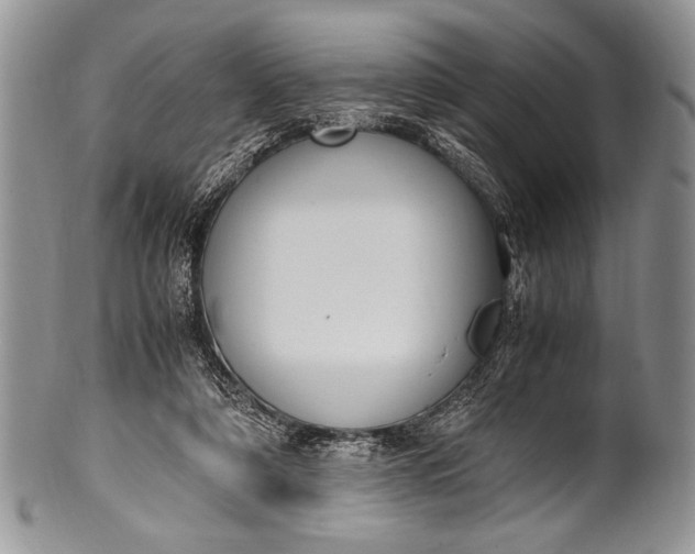 X0000100350306200806201547