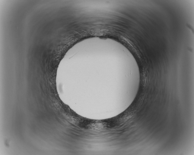 X0000100350307200806201547