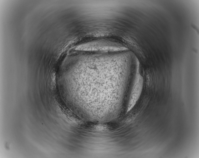 X0000100350308200806201547