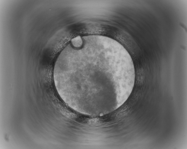X0000100350309200806201547