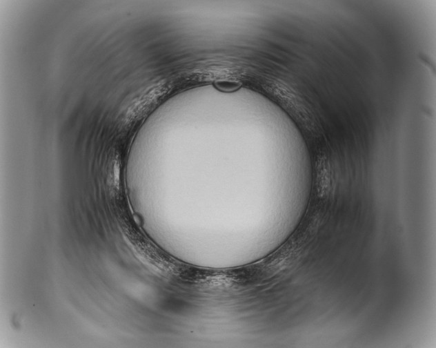 X0000100350310200806201547