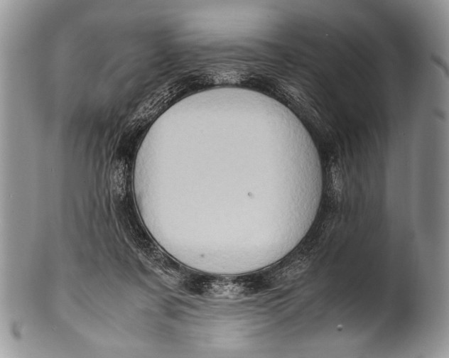 X0000100350311200806201547