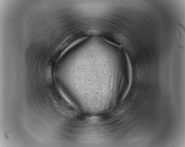 X0000100350312200806201547