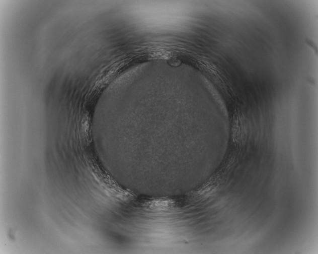 X0000100350314200806201547