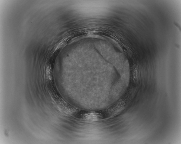 X0000100350316200806201547