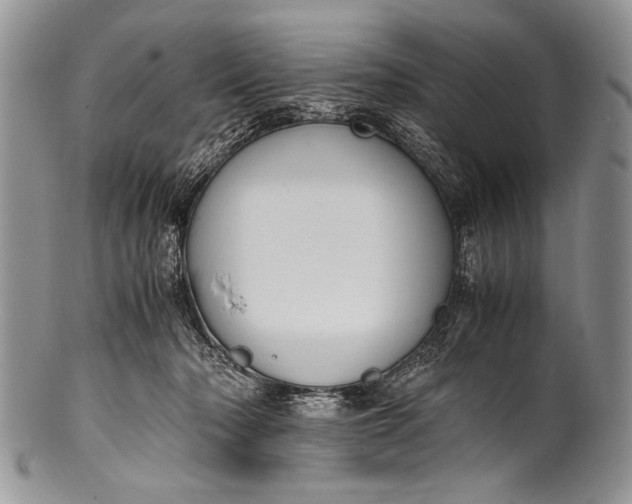 X0000100350318200806201547