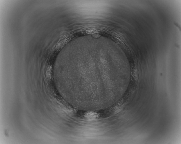 X0000100350319200806201547