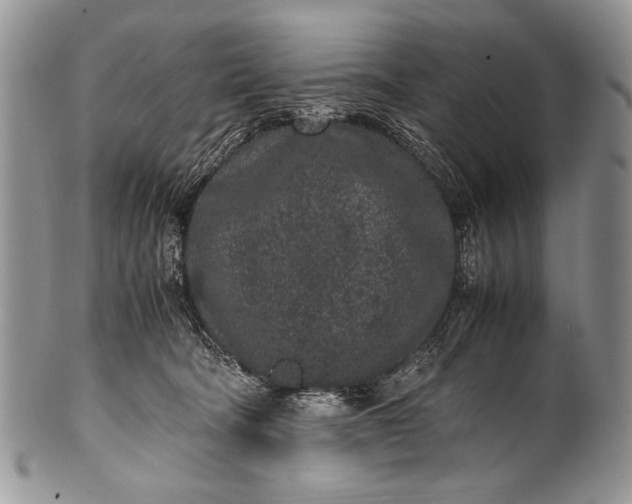 X0000100350322200806201547