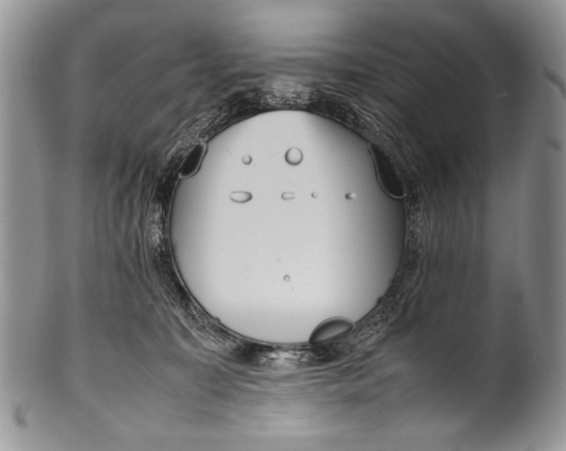 X0000100350323200806201547