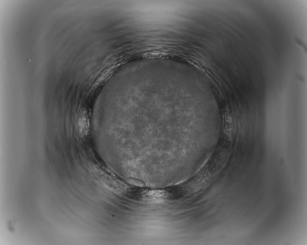 X0000100350324200806201547