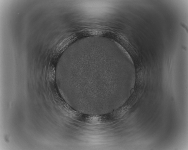 X0000100350325200806201547