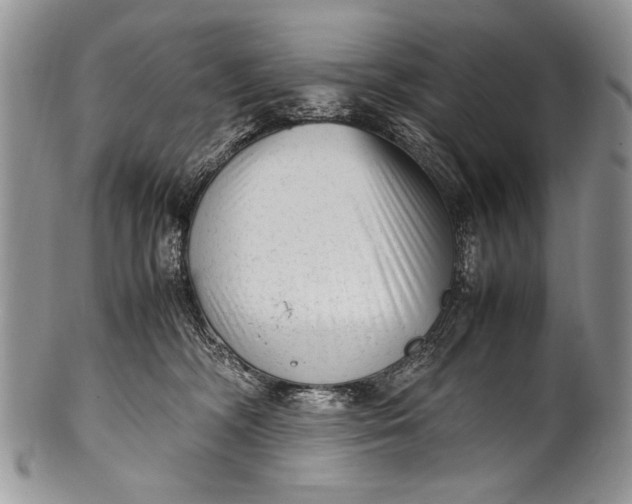 X0000100350326200806201547