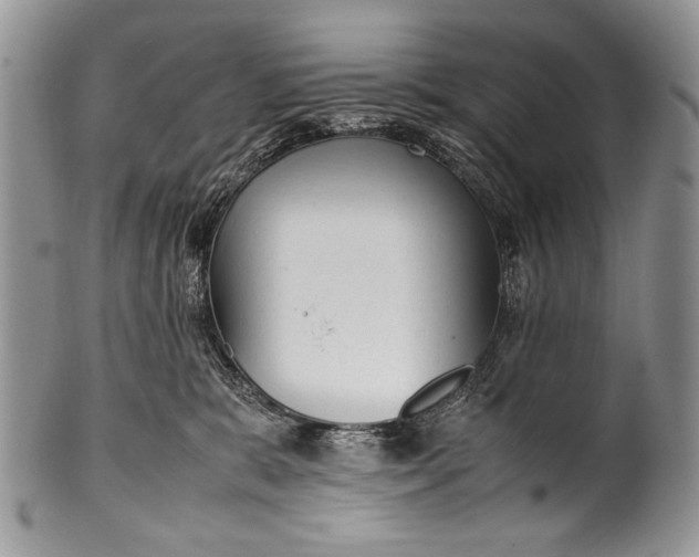 X0000100350327200806201547