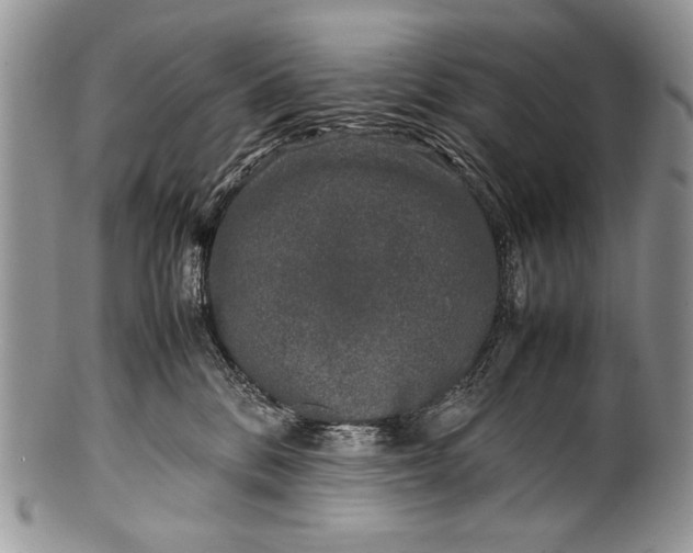 X0000100350328200806201547