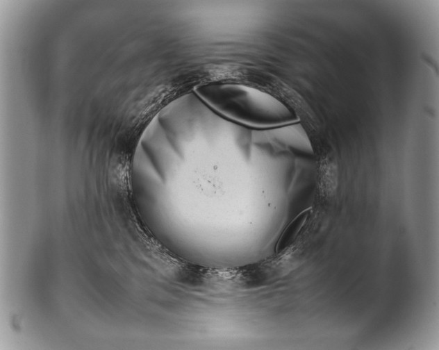 X0000100350329200806201547