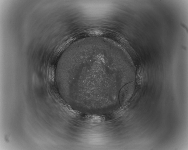 X0000100350330200806201547
