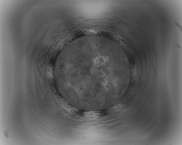 X0000100350331200806201547