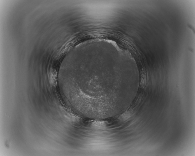 X0000100350332200806201547