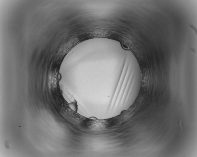 X0000100350334200806201547