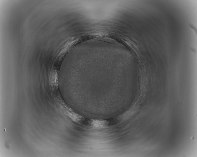X0000100350336200806201547