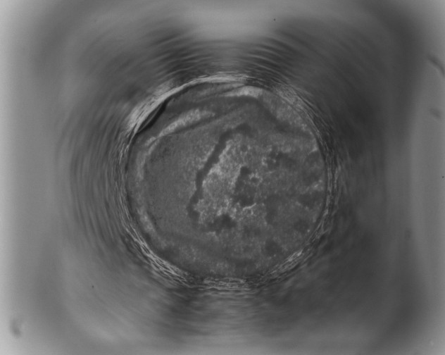 X0000100350337200806201546