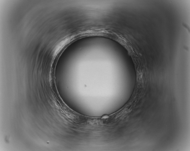 X0000100350340200806201546