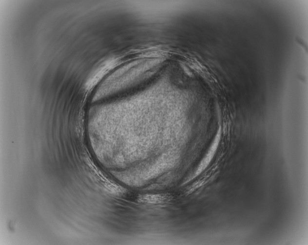 X0000100350341200806201546