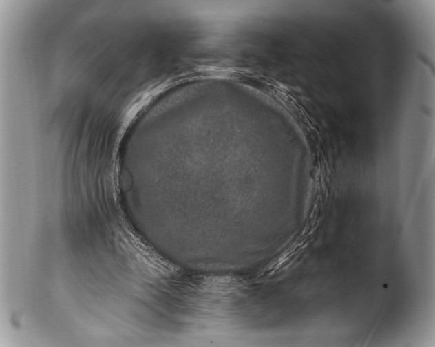 X0000100350342200806201546