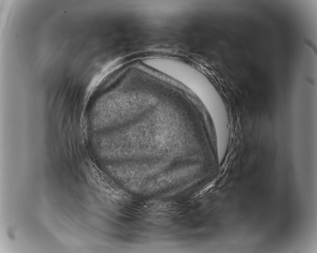 X0000100350343200806201546