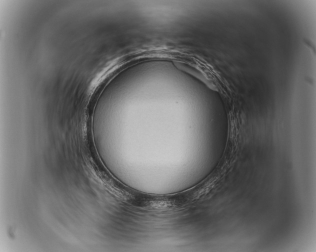 X0000100350344200806201546