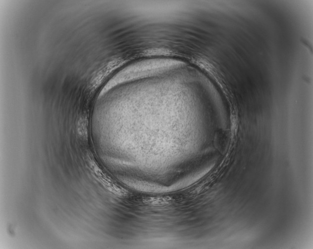 X0000100350345200806201546