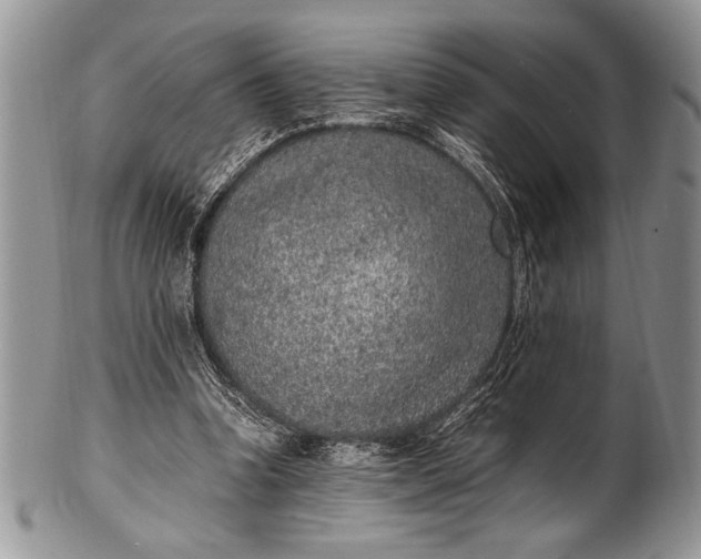 X0000100350346200806201546