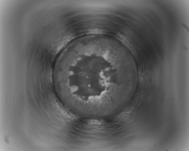 X0000100350347200806201546