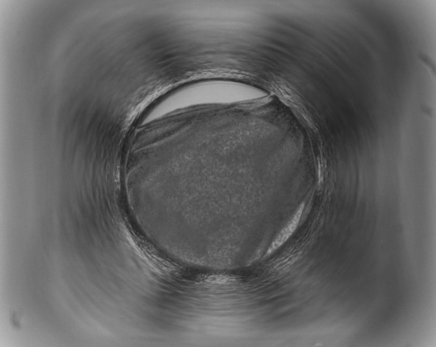 X0000100350348200806201546